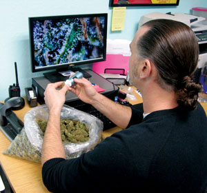 420