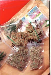 marijuana2-9929.jpg