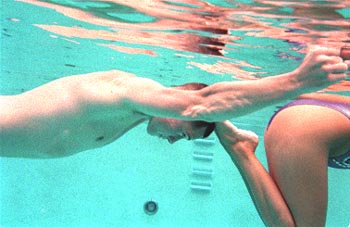 Snl Synchronized Swimming