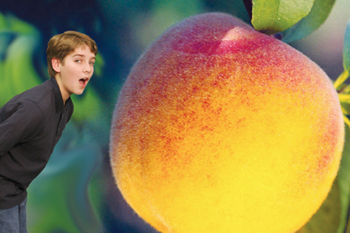 'James and the Giant Peach'
