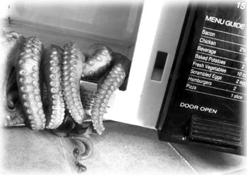 microwaved octopus
